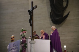 kardynał Stanisław dziwisz odprawia mszę